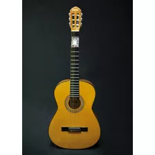 Guitarra La Española. 