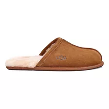 Pantuflas Ugg Scuff M Beige Hombre