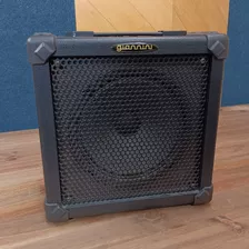 Caixa De Som Profissional Giannini G5 Guitar Amplifier Usada