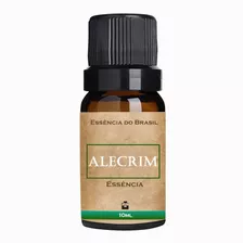 Essência Para Aromatizador / Difusor 10ml - Escolha O Aroma