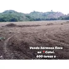 Vendo Finca 600 Tareas En Cotui Sanchez Ramirez