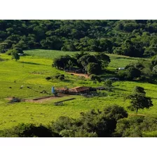 Fazenda Alto Padrao 150ha (30 Alqueires) - Brazlandia