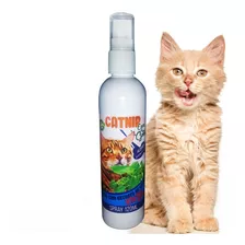 Catnip Spray Anti Stress Erva De Gato Pet Extrato Vegetal