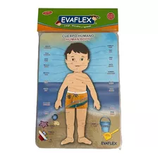 Juego Didactico Cuerpo Humano Goma Eva De Aprendizaje