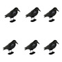 Tercera imagen para búsqueda de cuervo ahuyenta palomas