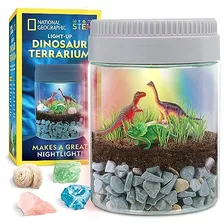 Kit De Terrario De Dinosaurios Niños