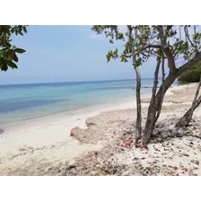 Encantador Lote De Playa En Venta Isla De Baru / Cartagena