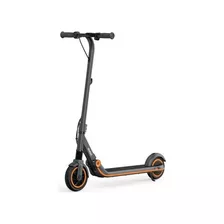Scooter Zing E12