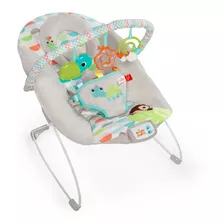 Silla Mecedora Para Bebé Bright Starts 11508 11508 Gris