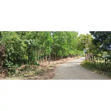 Finca De 360 Tareas De Venta En Bonao 