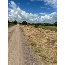 Chacra De 3 Hás A Minutos De Tala