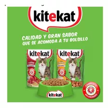 Pack *24 Kitekat Surtidos 70 Gr 