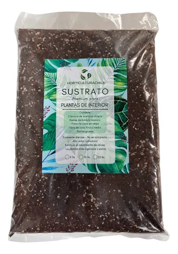 Kits de siembra más vendidos de 2024: Fresh Roots y Horticulturachile al mando