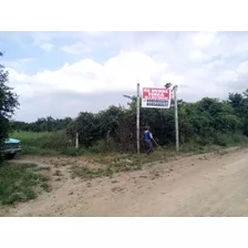 Finca De 18 Hectareas, Bien Cuidada, Cerca Al Centro De Lomas De Sargentillo