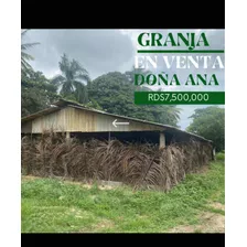 Granja De Pollo En Venta Rd$7,500,000