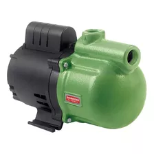 Bomba Schneider Auto Aspirante Asp98 - 1/2cv - 220v Cor Verde Fase Elétrica Trifásica Frequência 60 Hz