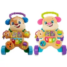 Fisher-price Caminador Andador Camina Conmigo +70 Canciones