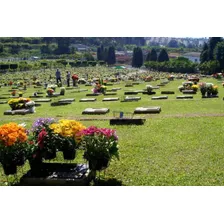 Jazigo De 3 Gavetas No Cemitério Do Carmo - Itaquera