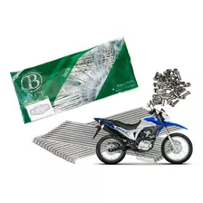 Kit Raio Inox Diant +tras Honda Bros Nxr 150 160 Freio Disco