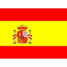 Bandera De España Medida Oficial