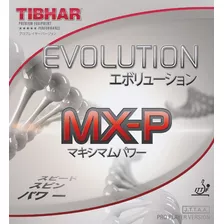 Borracha Thibar Evolution Mxp + Xiom Omega 5 Pro + Cola 15ml