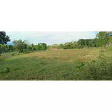 Finca De 3o0 Tareas De Venta En Bonao 