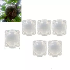 Esfera Multiplantas Clone Plantas Reutilizáveis 8cm 5pc