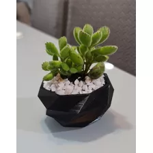 Vaso De Plantas Suculentas Poligonal 3d 