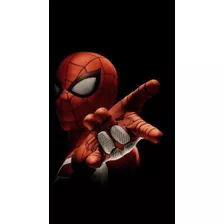 Quadro Do Spider Man Realista 30x20 Em Pvc