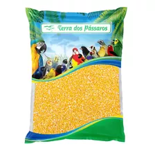 Quirera De Milho - Média - G3 - 10kg Para Pássaros