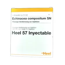 Echinacea Compositum X 5 Amp 2.2ml Heel