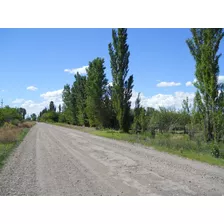 Finca Con Viñedos Y Bosque 