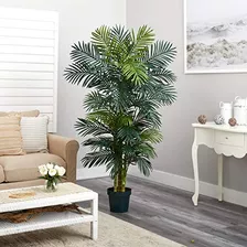 Casi Natural 5289 Golden Cane Palm Silk Tree 65feet Green