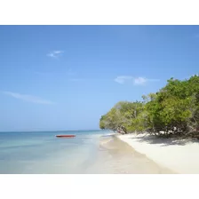 Lote En Venta Isla De Baru Cartagena Colombia 