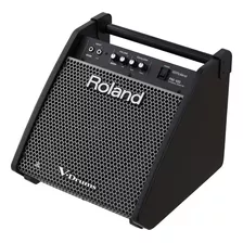 Monitor Roland Pm-100 80w