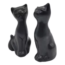 Gatos Par Lisos Barro Negro