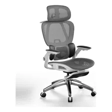 Silla De Oficina Ergonómica Soporte Lumbar Cómodo Ouo T70 Color Negro Material Del Tapizado Malla