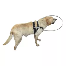 Coleira Cães Cegos- Acima De 23k -sob Medida- Leia O Anúncio