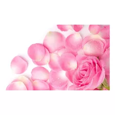 500 Pétalos De Rosa Rosados (artificiales) Igual A Naturales