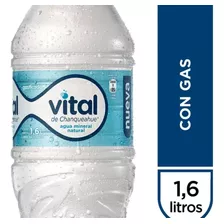 Agua Vital Mineral Con Gas 1.6 L 6 Unidades.