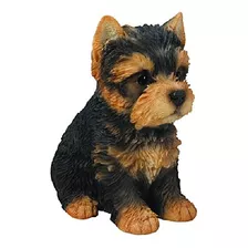 Hi-line Regalo Ltd Sentado Yorkshire Terrier Cachorro 65 