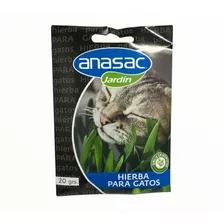 Semillas Hierba Para Gatos 20 Gr - Anasac - Jardín