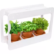 Diseño Atento Mini Maceta Para Ventanas De Jardin Diseño 