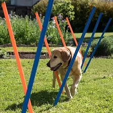Mascotas Perros Juegos Al Aire Libre De La Agilidad Ejercici