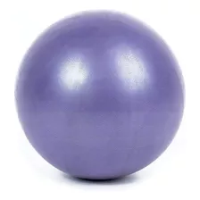 Kit Com 2 Bola Yoga Pilates Fisio Overball Ginastica 25cm Cor Roxo