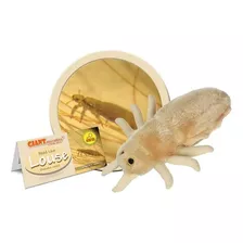 Pediculus Capitis Giantmicrobes Piojo Ciencia Kit