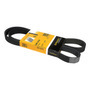 Banda Accesorios Towncar 4.6l V8 03_05 Rodatech 5659121