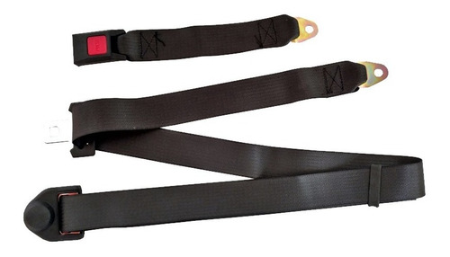 Cinturón De Seguridad De 3 Puntos Universal Color Negro