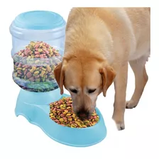 Dispensador Automatico De Alimento Para Mascotas Perro Gato Color Azul Oval