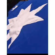 Bandera Mapuche Azul Wuñelfe90 Por 70 En Genero 